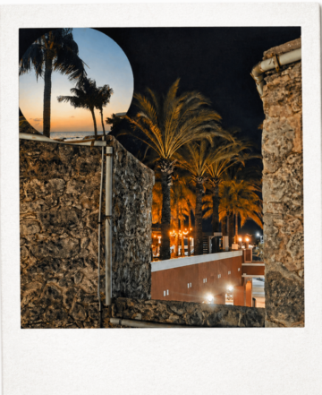 poloroid6